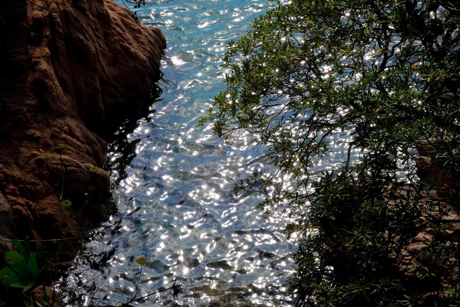 se av de katalansk costa brava, sant feliu de guixoler, Spanien foto