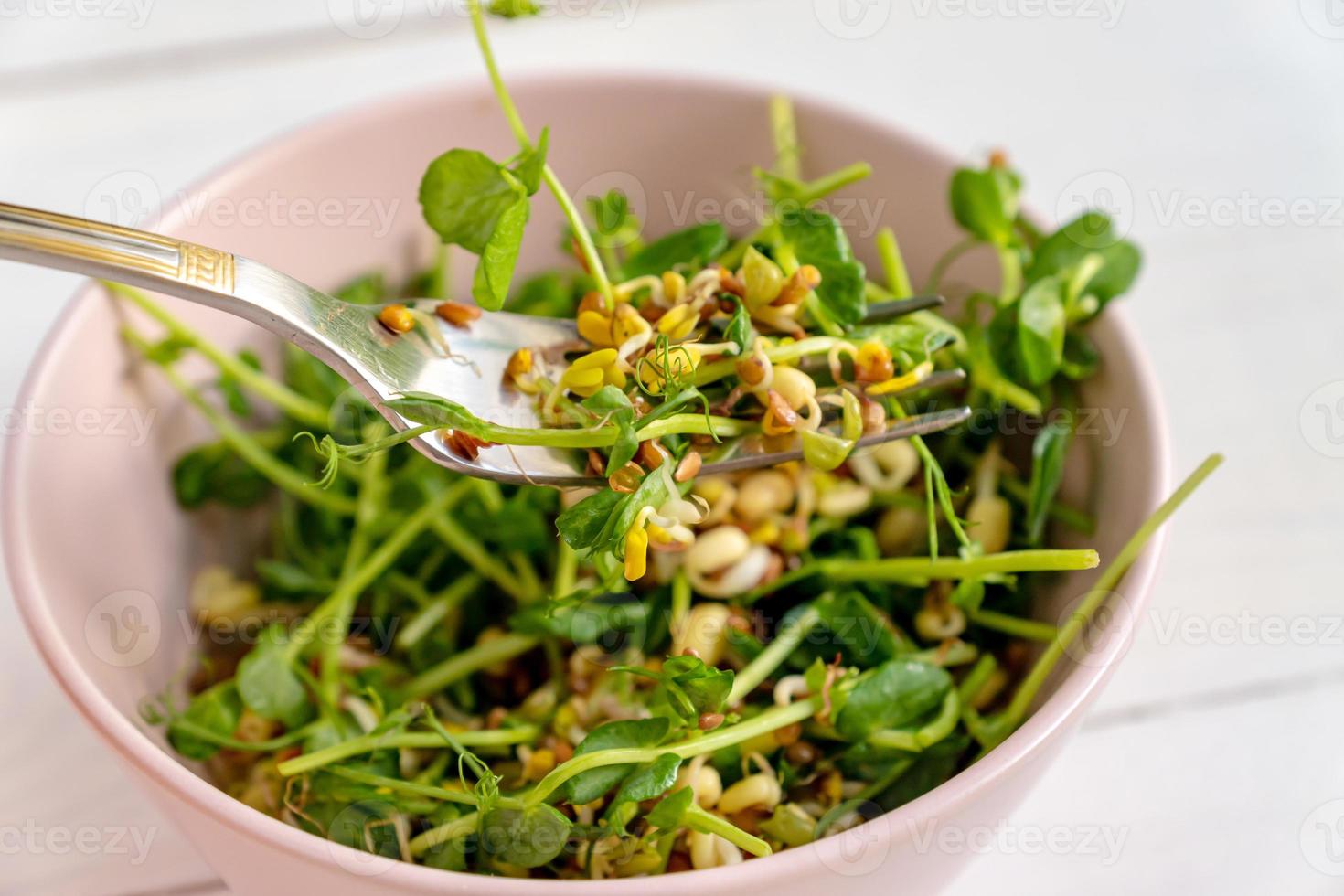 vegan friska sallad tillverkad av ärtor microgreen groddar och grodd bönor i rosa skål på ljus bakgrund foto