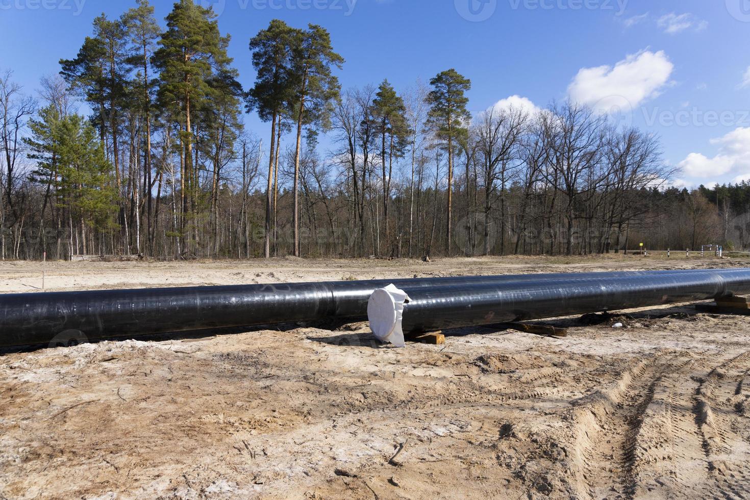 rå olja och naturlig gas rörledning konstruktion arbete i skog område. petrokemiska rör på topp av trä- stödjer. installation och konstruktion de rörledning för transport gas till lng växt foto