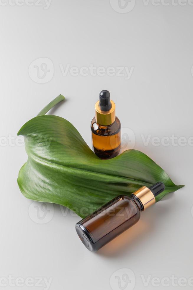 naturlig grundläggande olja, serum i bärnsten glas släppa flaskor på en grå bakgrund med grön tropisk blad. alternativ medicin, aromatisk ört- skönhet hud vård produkt. minimal stil, kopia Plats. foto