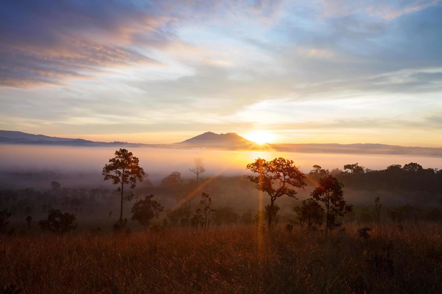 dimmig morgonsoluppgång vid thung salang luang nationalpark phetchabun, thailand foto