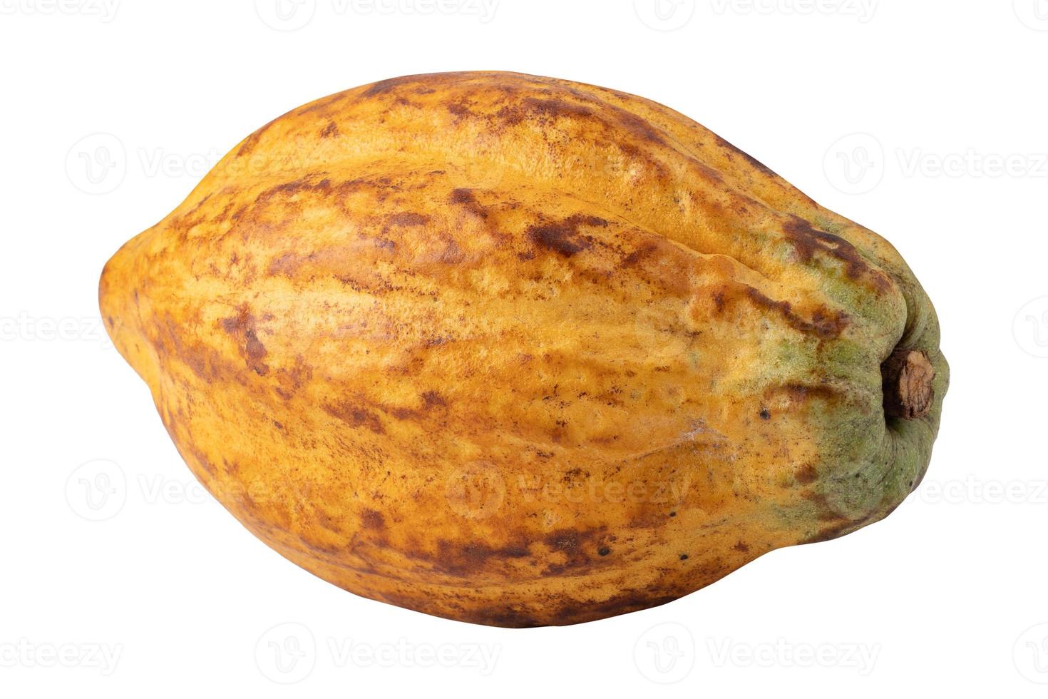 mogna kakao frukter isolerad på vit bakgrund foto