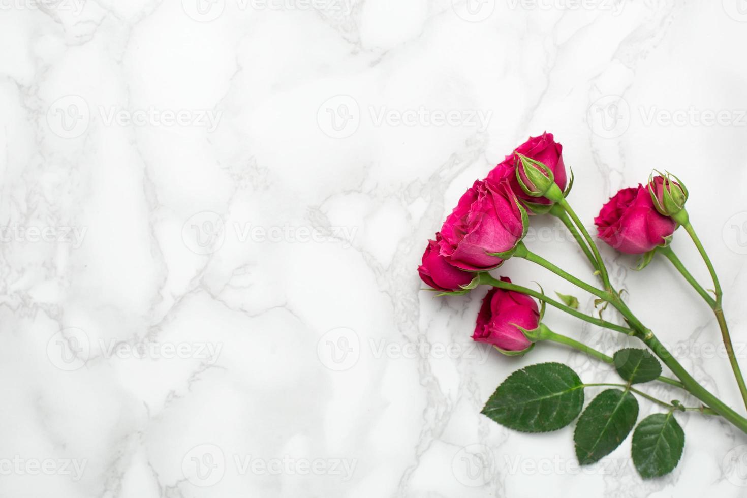 rosa ro blommor på marmor bakgrund med copyspace. minimalistisk sammansättning för de högtider. foto