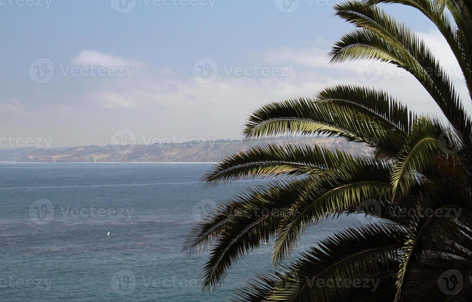 se längs de kust i la jolla, kalifornien foto