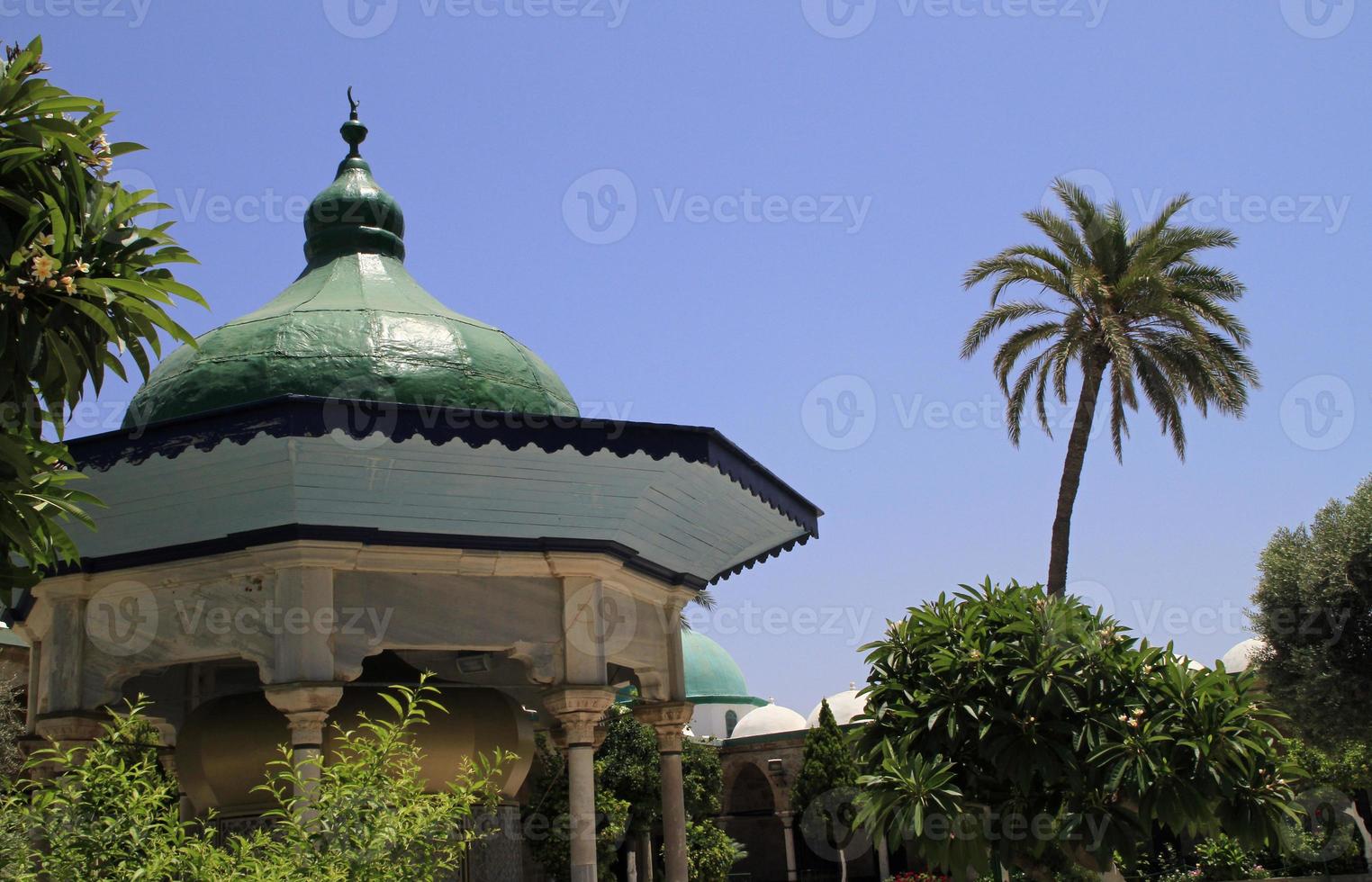 religiös webbplats och handflatan träd i tel aviv, Israel foto