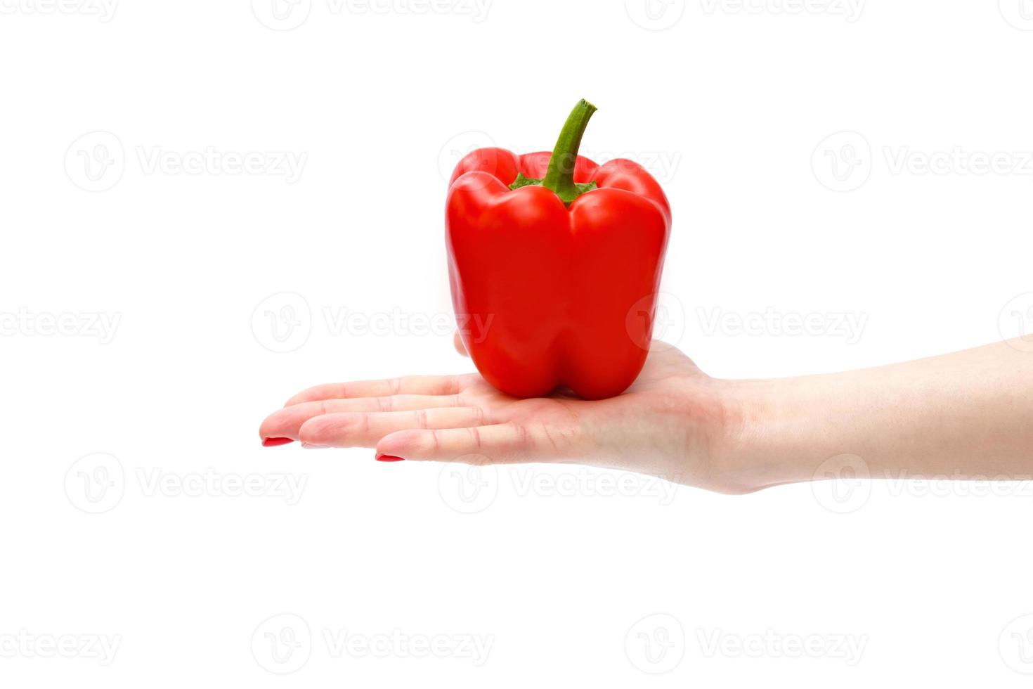 färsk röd ljuv peppar eller klocka paprikor i hand av en kvinna, isolerat och dicut med klippning väg på vit bakgrund, kopia Plats. foto