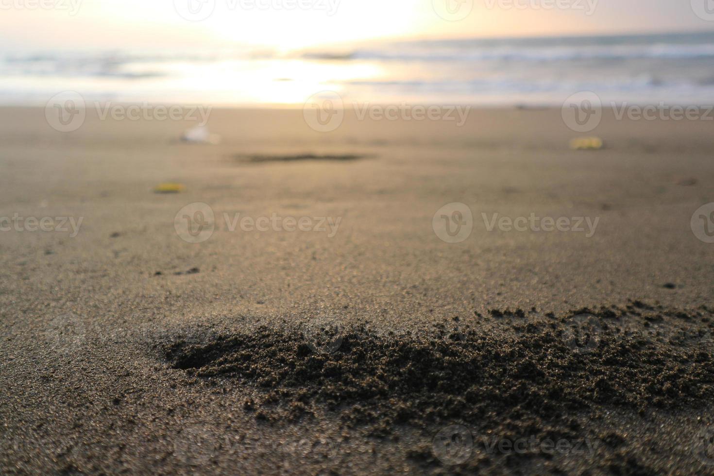 stänga upp bo hav krabba på de strand. med brun svart sand strand foto