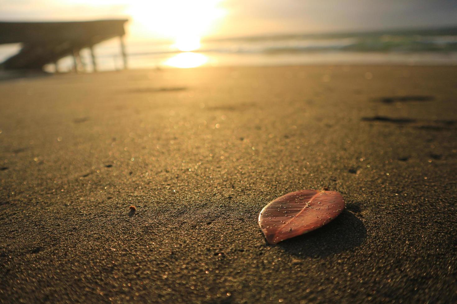 orange blad på de strand sand. med soluppgång bakgrund foto