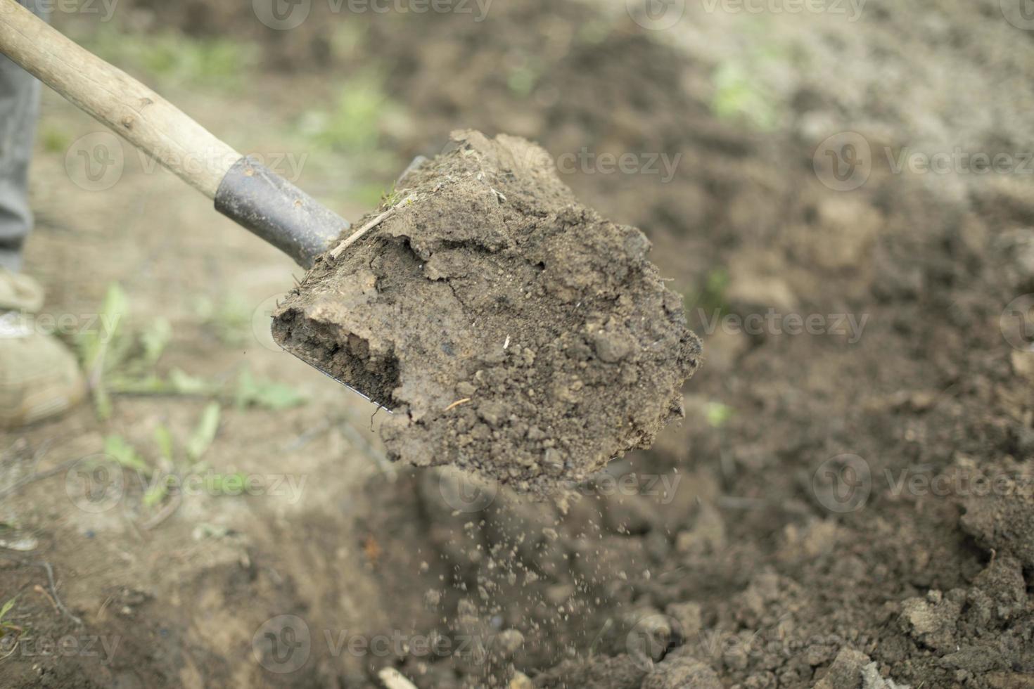 kille gräver jord med skyffel. plantering växter i trädgård. foto
