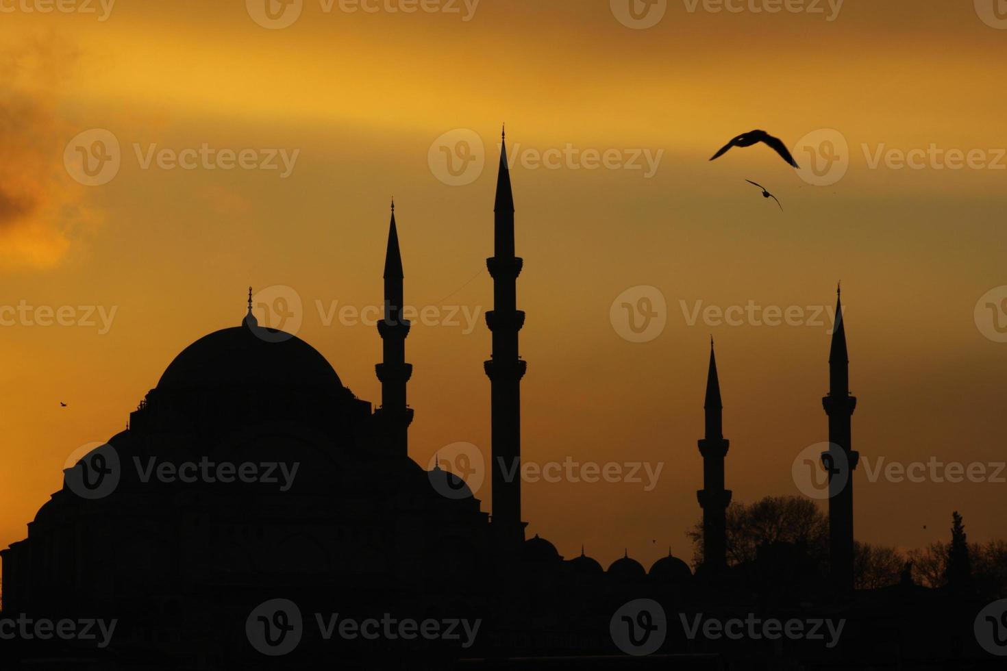 suleymaniye moské, istanbul, kalkon foto