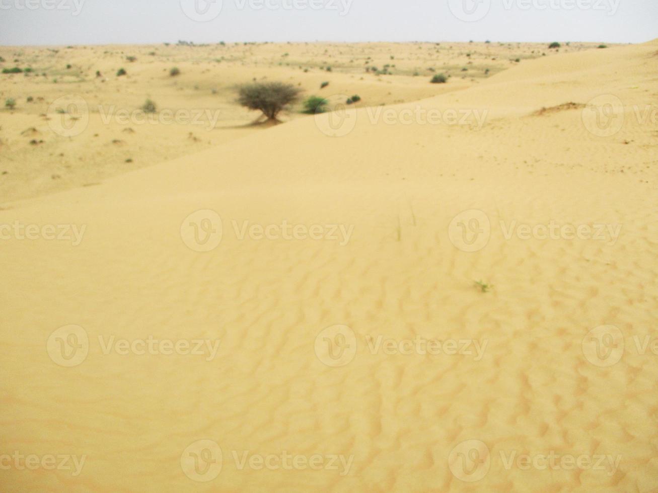 vågor av sand textur. sanddyner av de öken. öken- sanddyner solnedgång landskap. foto