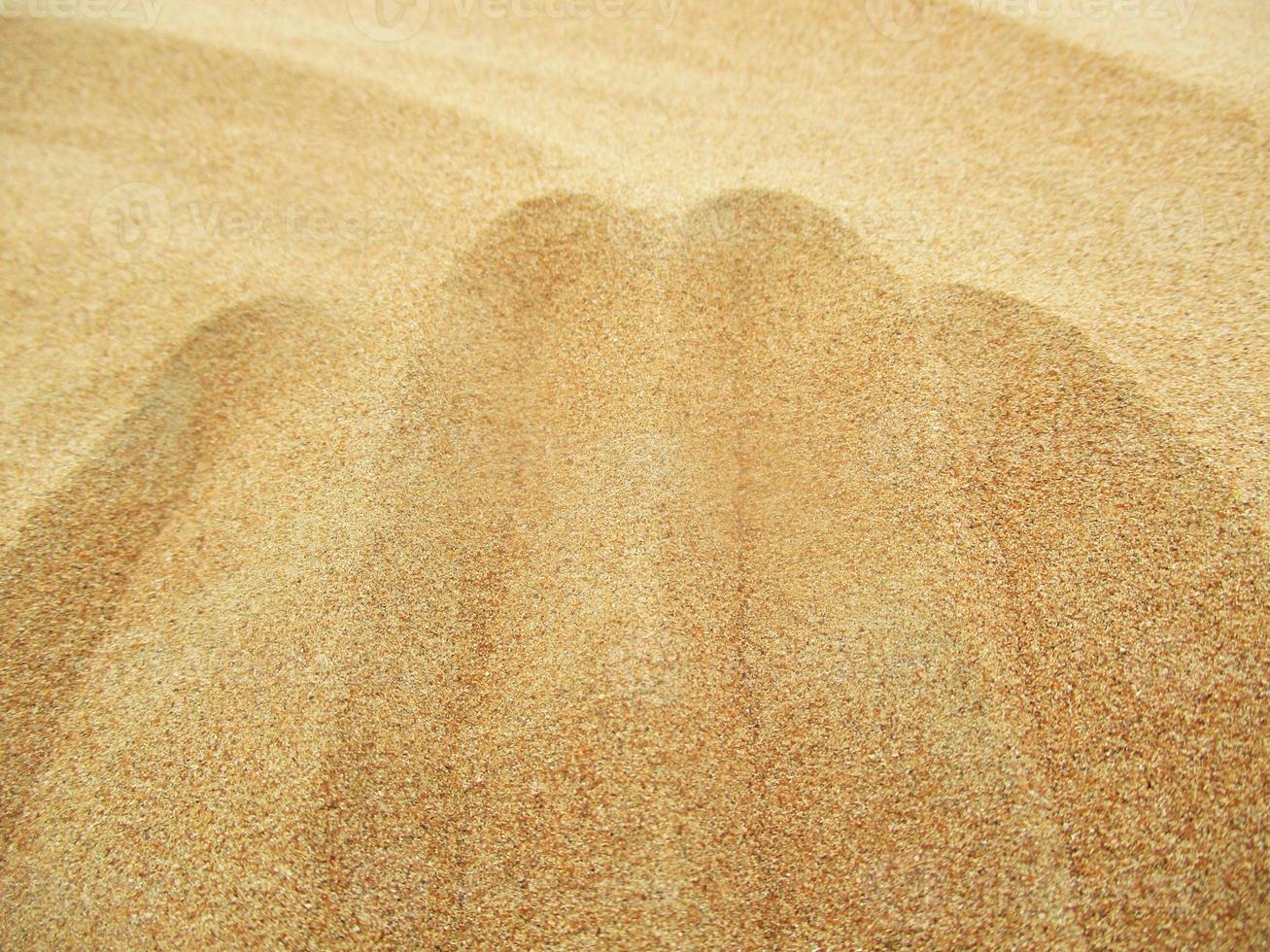 vågor av sand textur. sanddyner av de öken. öken- sanddyner solnedgång landskap. foto