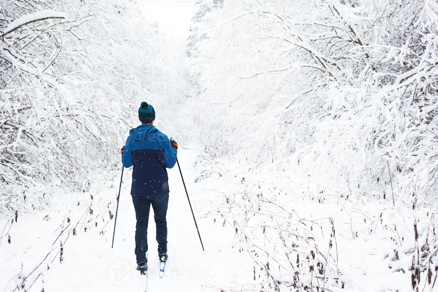 skidåkare i vindjacka och hatt med pompong med skidstavar i händerna med ryggen mot bakgrunden av en snöig skog. längdskidåkning i vinterskogen, utomhussporter, hälsosam livsstil. foto