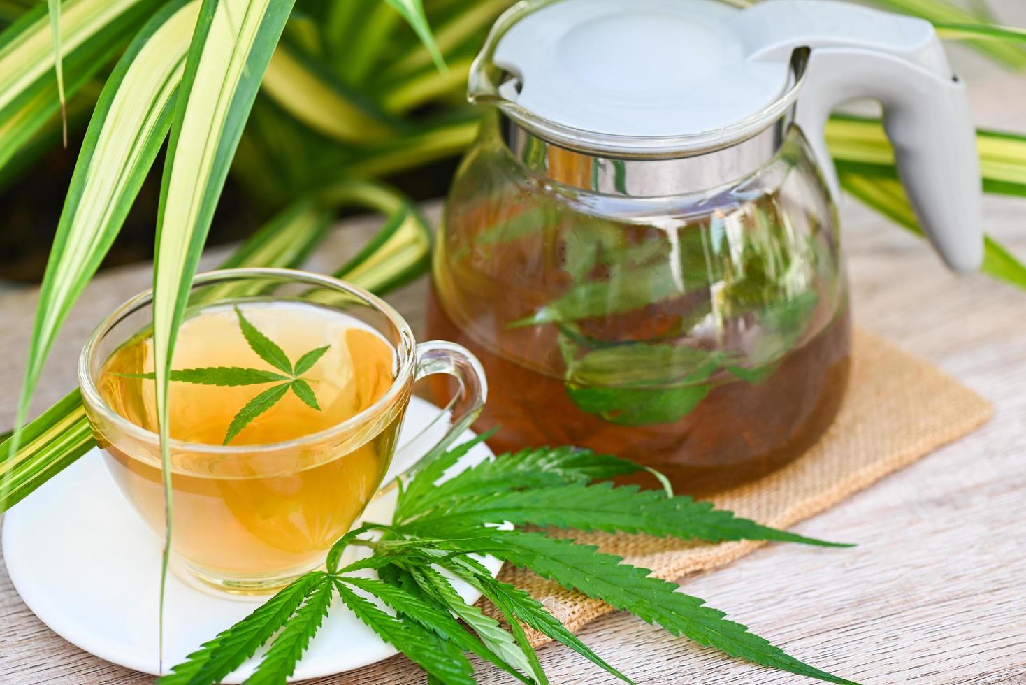 cannabis te ört- på te kopp och glas kanna med cannabis blad marijuana löv ört på natur bakgrund, hälsa te med hampa blad växt thc cbd örter mat och medicinsk begrepp foto