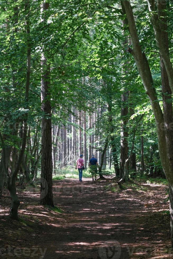 de ö av zingst foto