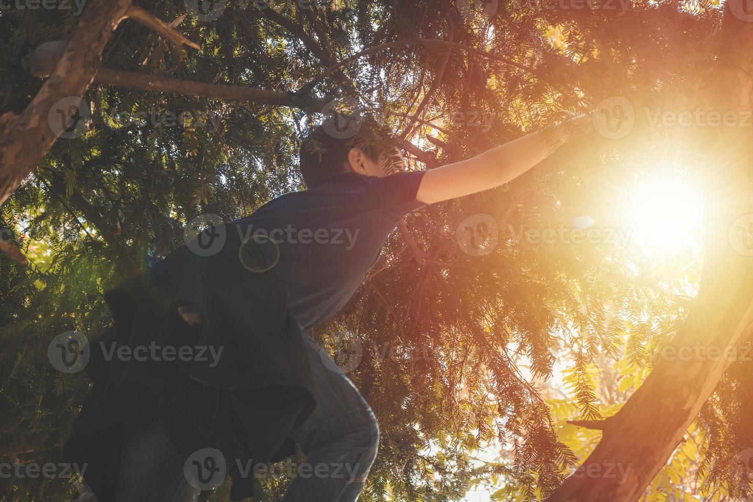 Nedan se av pojke klättrande på en träd. foto