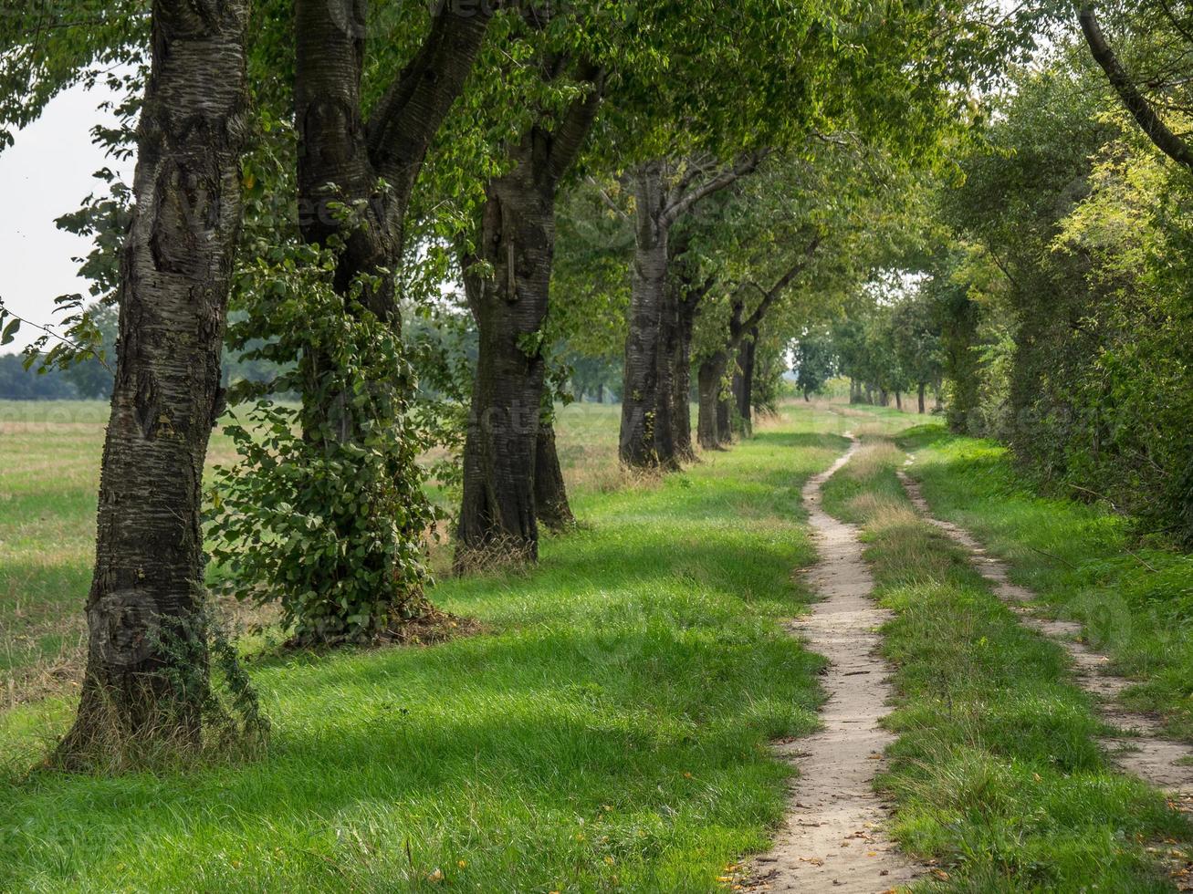 vandring i de tysk baumberge foto