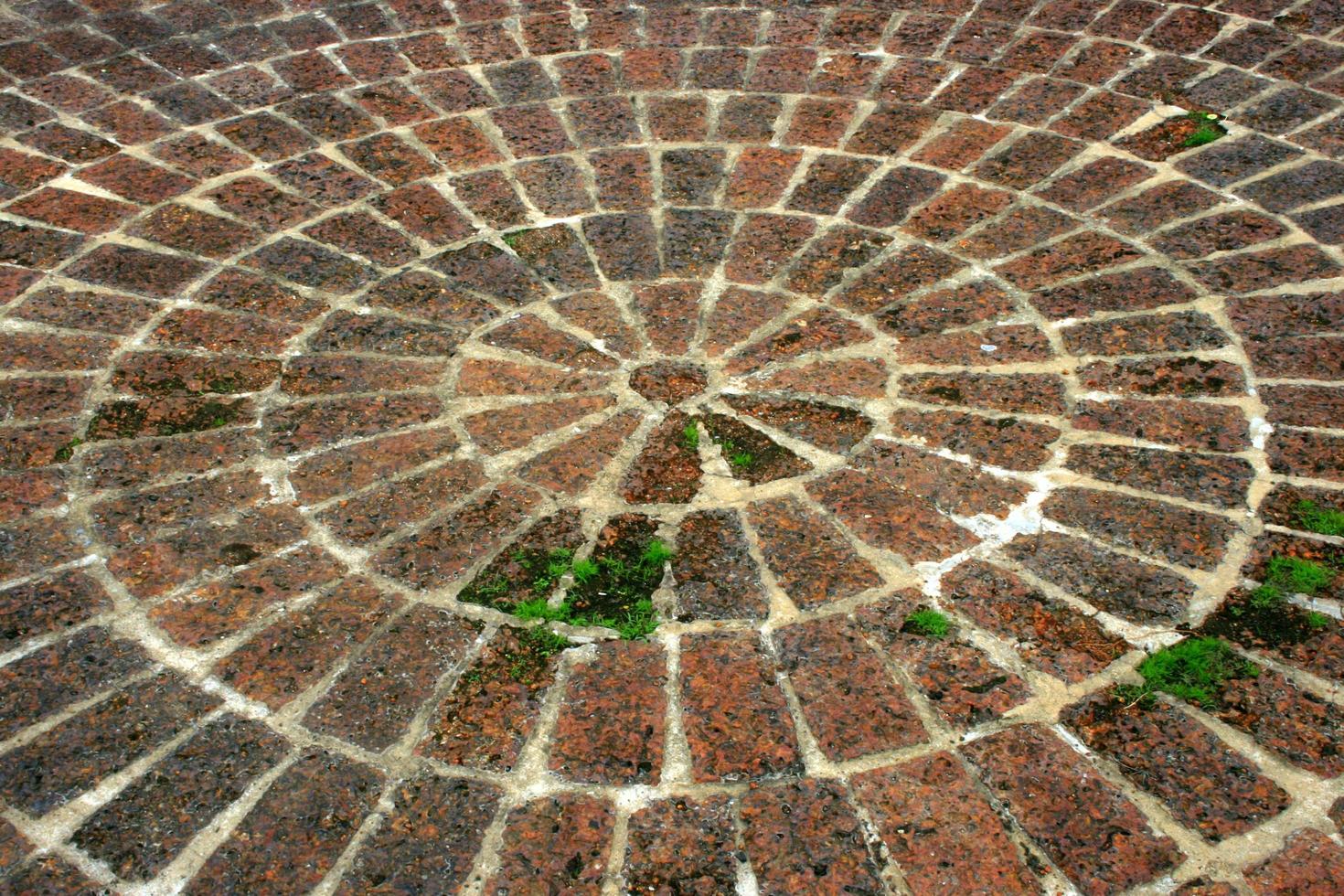trottoar av kullersten stenar i en cirkel mönster foto