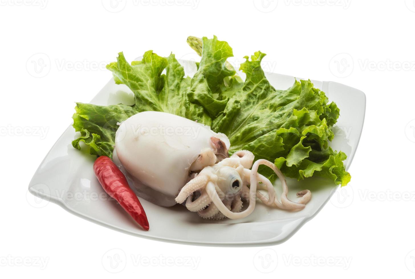 kokt bläckfisk på tallriken och vit bakgrund foto