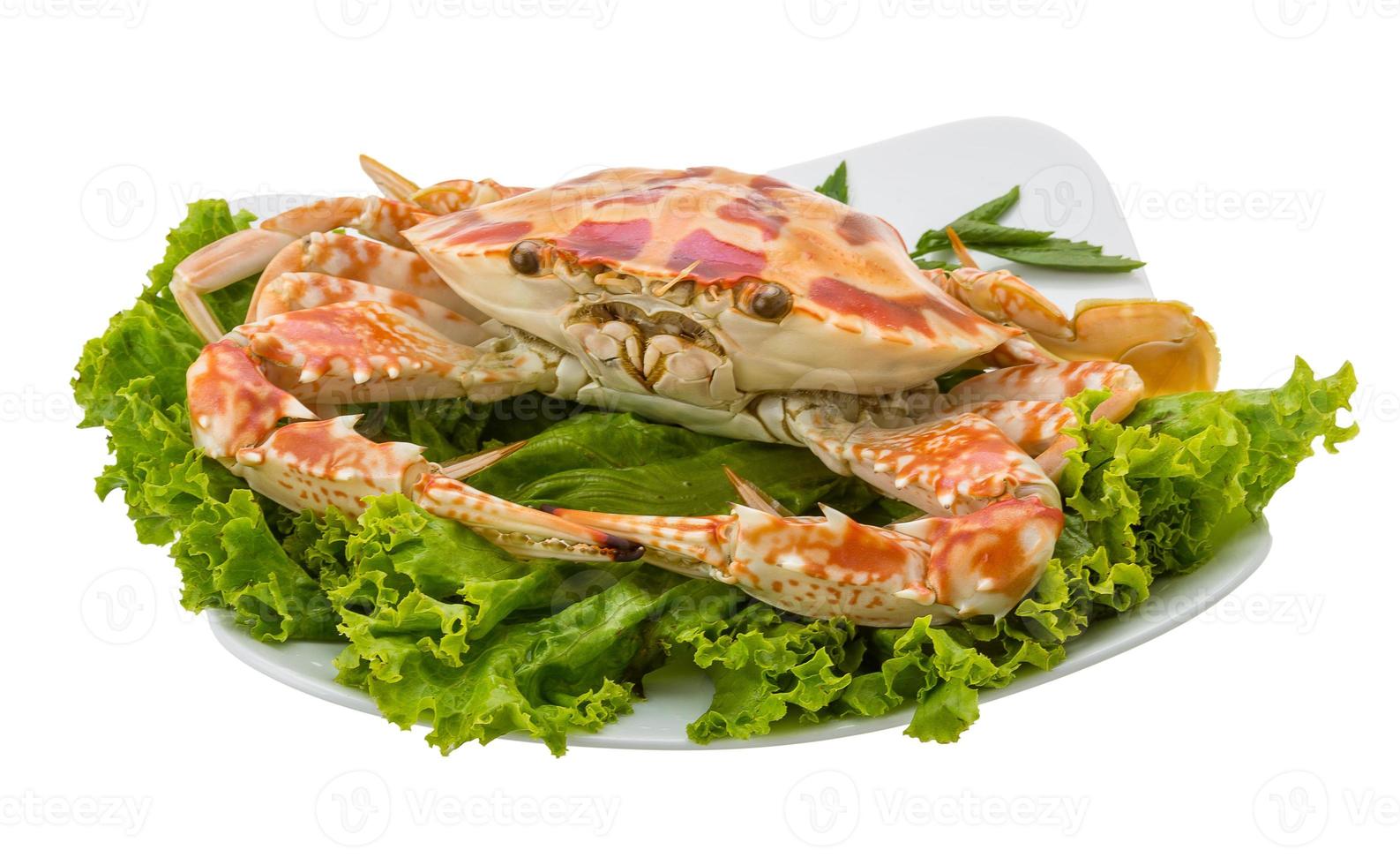kokt krabba på plattan och vit bakgrund foto