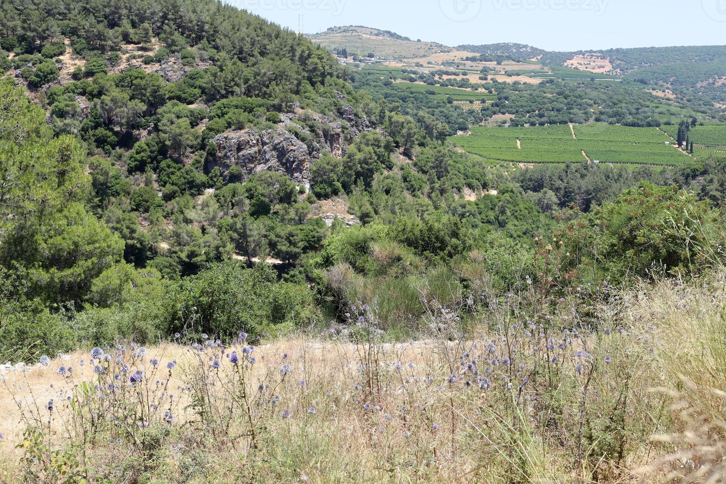 landskap i de bergen i nordlig israel. foto