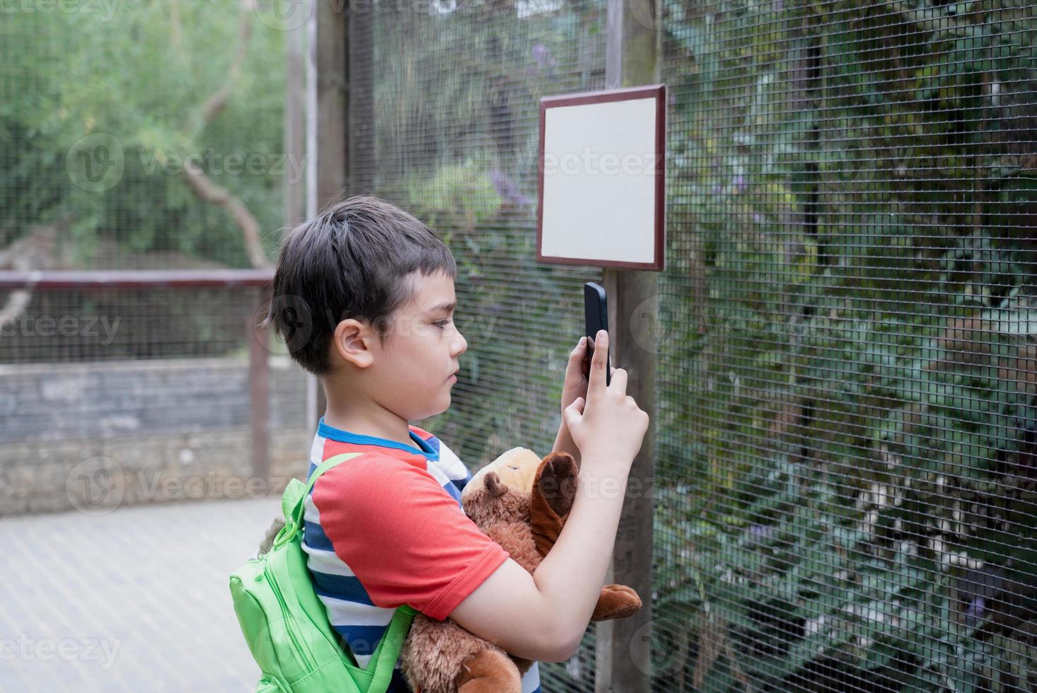 skola unge använder sig av mobil telefon tar Foto av djur- i de bur i de odla, barn pojke inlärning handla om vilda djur och växter i de Zoo, Lycklig unge har roligt med djur safari parkera på värma sommar dag