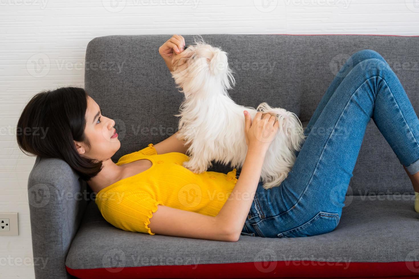 skön kvinna spelar med shihtzu hund på en soffa på Hem foto