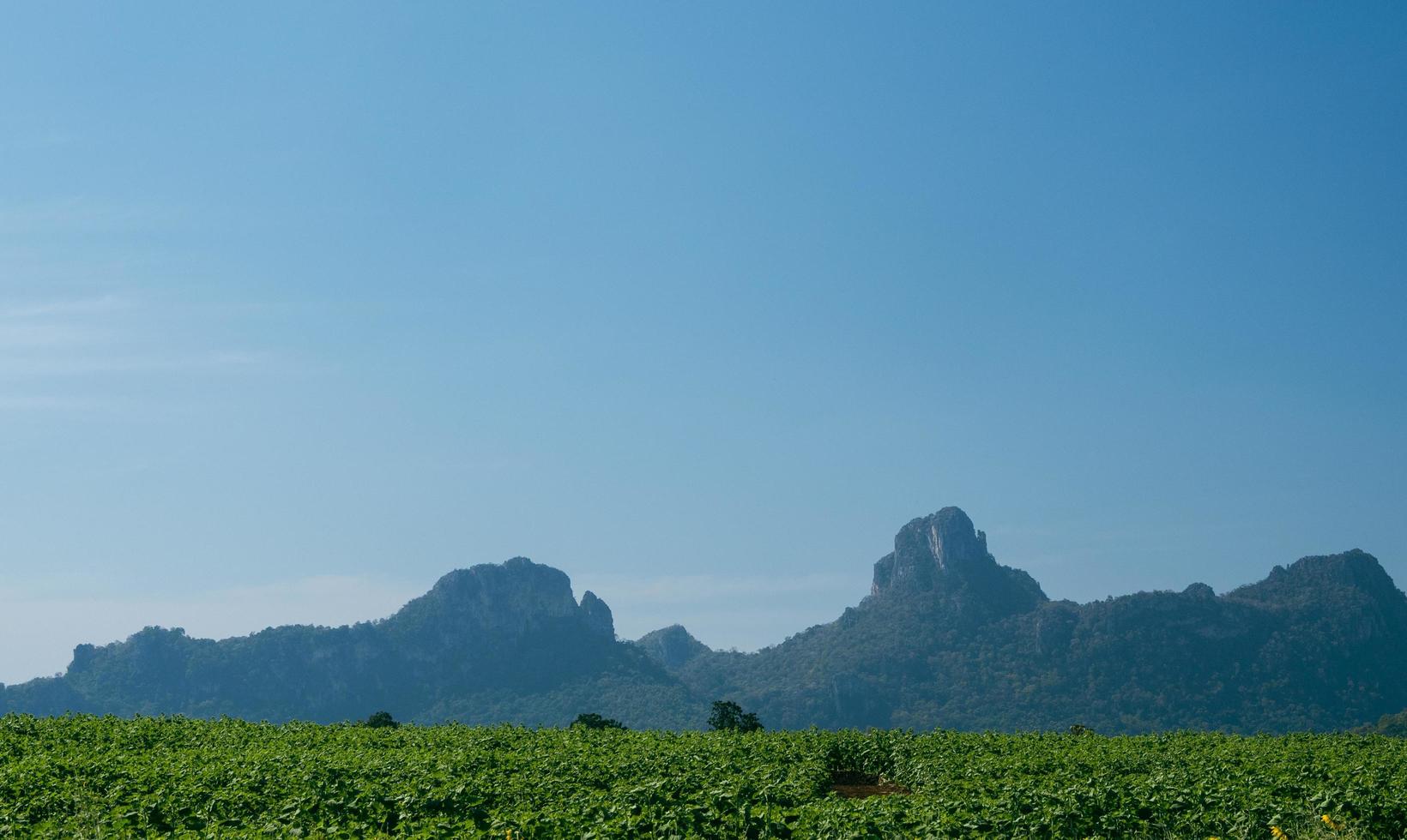 landskap synpunkt för design vykort och kalender sommar natur se grön berg. klar blå himmel och olika träd distans. på först naturlig plats i morgon- dag, uthai än mig thailand foto