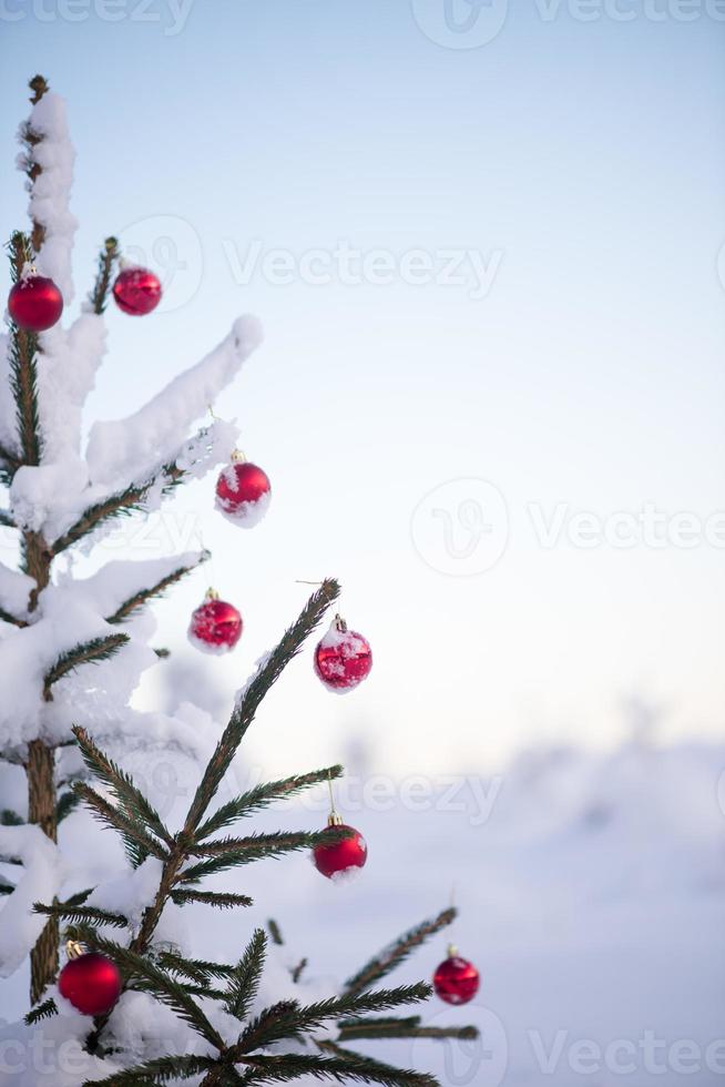 jul bollar på tall träd foto