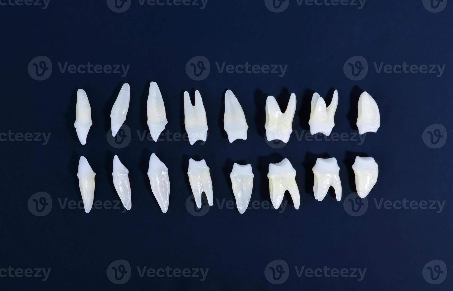topp se av vit tänder på blå bakgrund foto