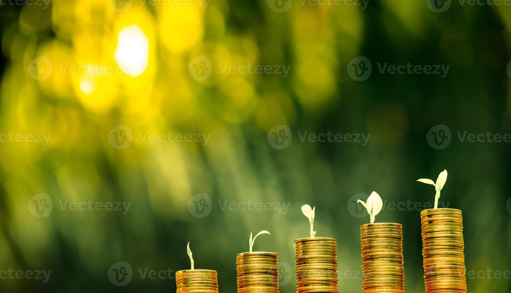 företag finansiera och pengar koncept, spara pengar för förbereda i de framtida.träd växande på mynt av stapling guld mynt med grön bokeh bakgrund foto