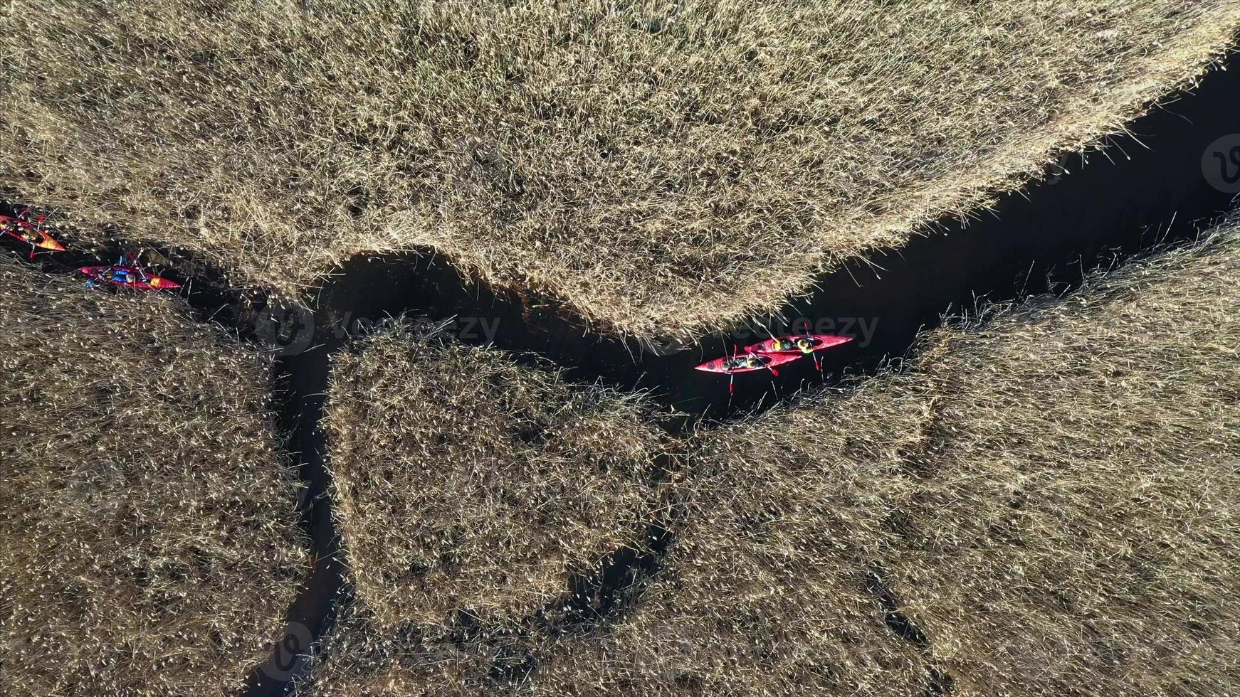 grupp av människor i kajaker bland vass på de höst flod. foto