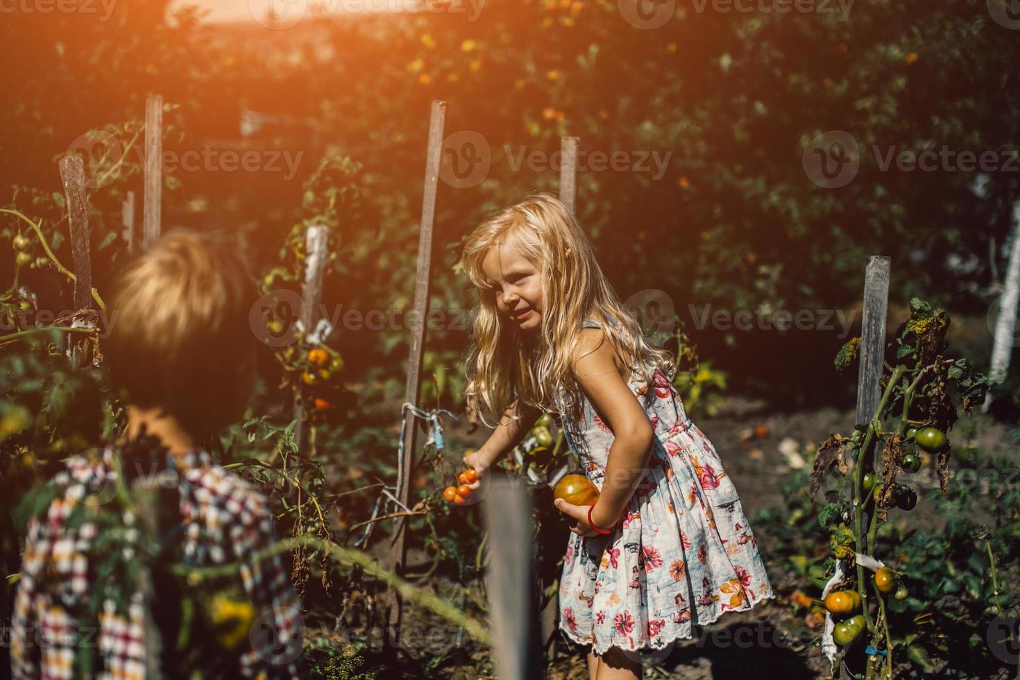pojke och flicka i trädgård foto