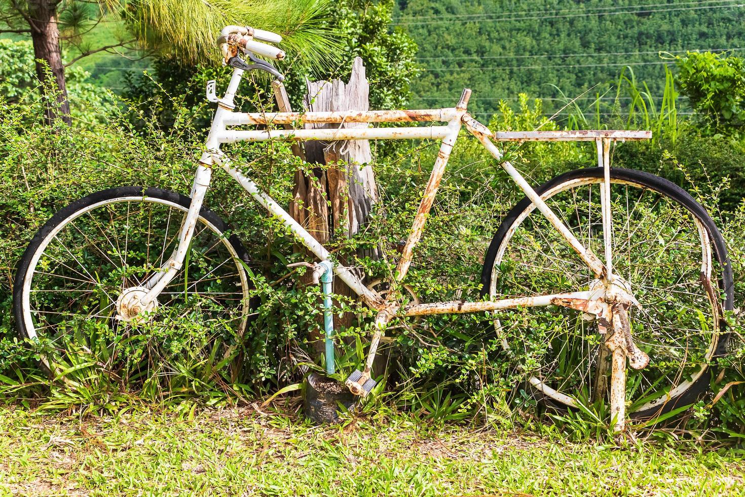 gammal vit cykel med rostig i trädgården foto