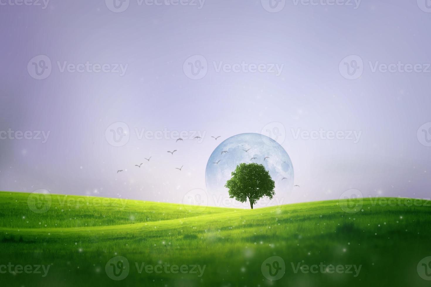 ensam träd och blomma trädgård på grön kulle och måne foto