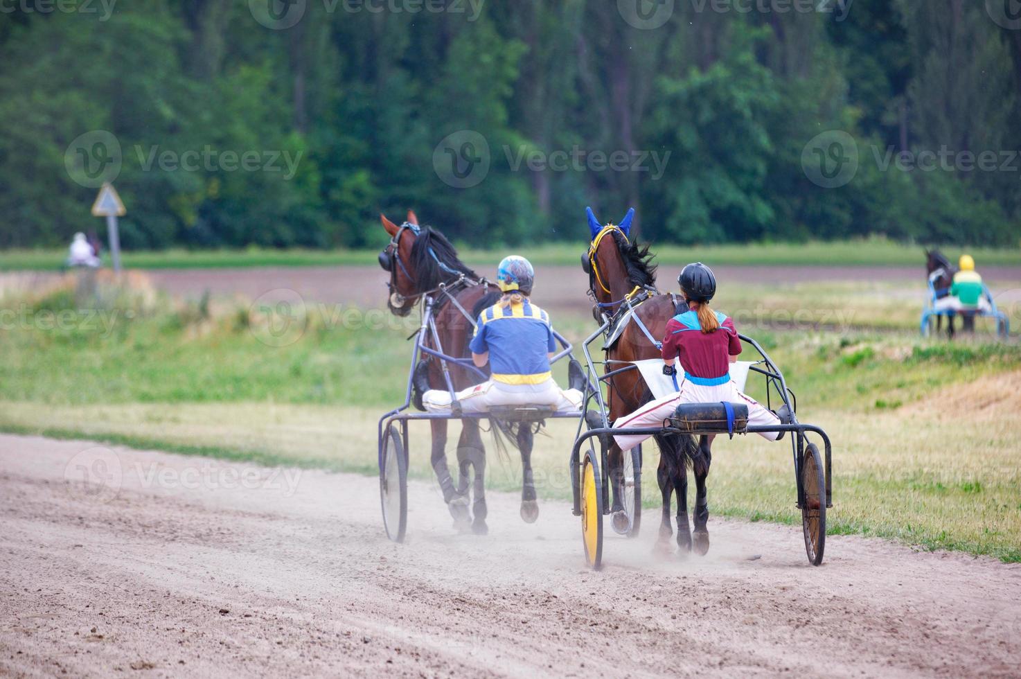 Träning och gående hästar i vagnar. kvinnor jockeys kontrollera deras djur. foto