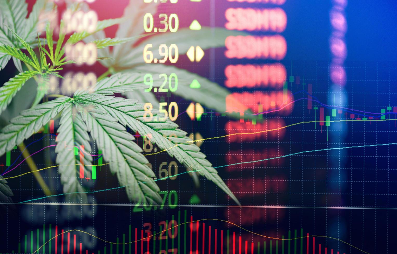 företag marijuana löv cannabis stock utbyta marknadsföra foto