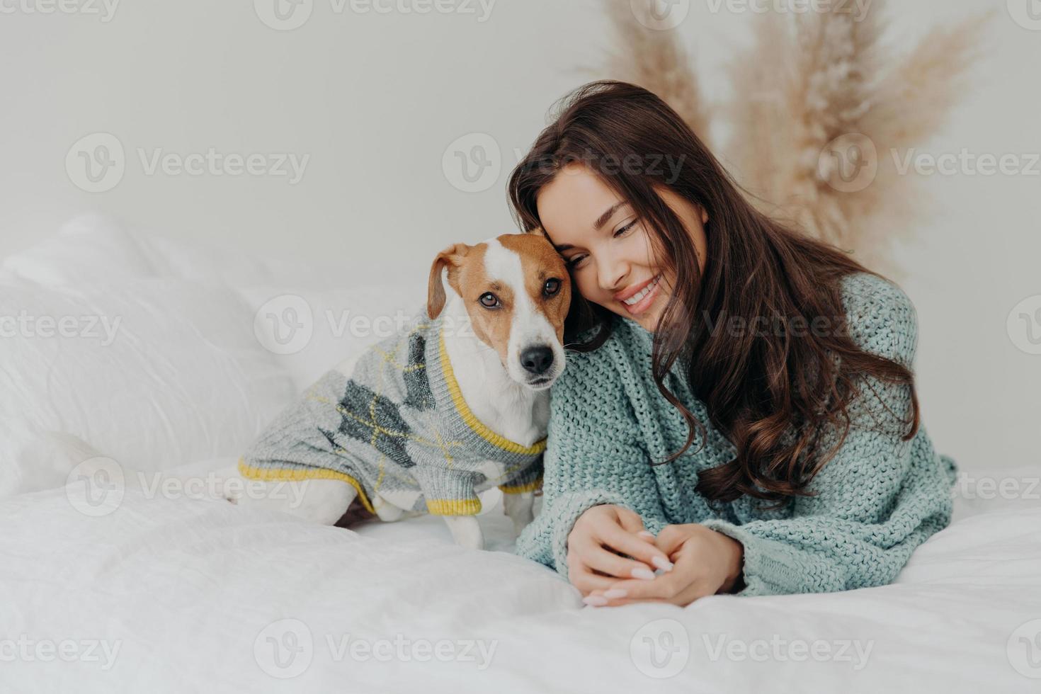 foto av vacker brunett kvinna i stickad tröja ligger tillsammans med hund på mjuk säng, tycker om att umgås med favorithusdjur, bryr sig om djur, stannar hemma under koronaviruskarantän