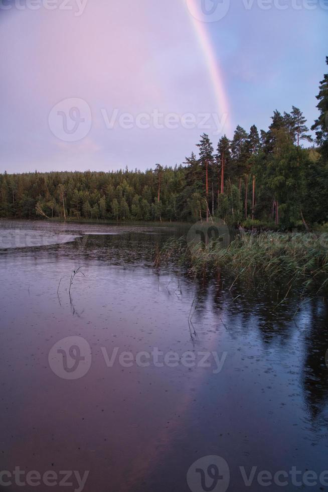 regnbåge reflekterad i de sjö när den regnar. på de sjö vass och vatten liljor. foto