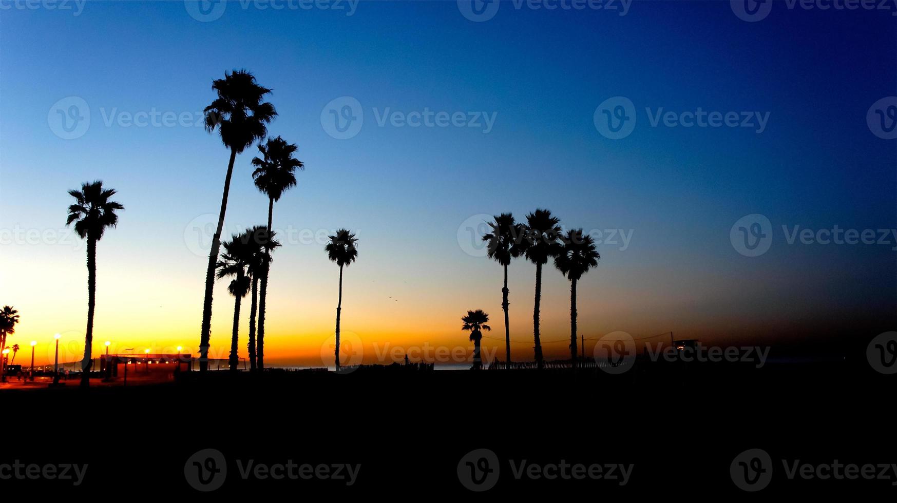 sunbreak beach palms foto