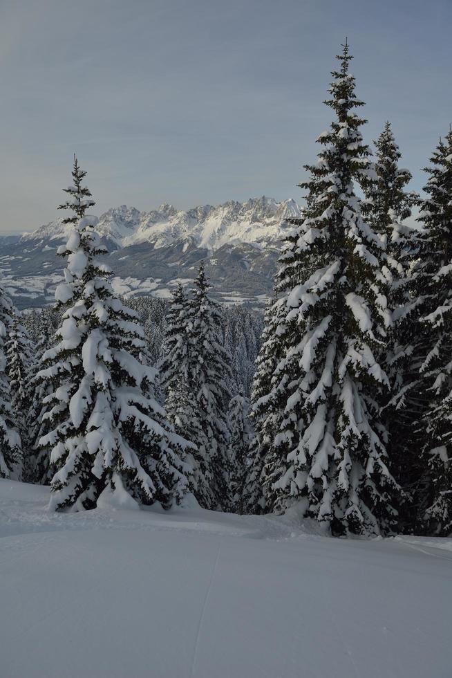 vinter bergslandskap foto