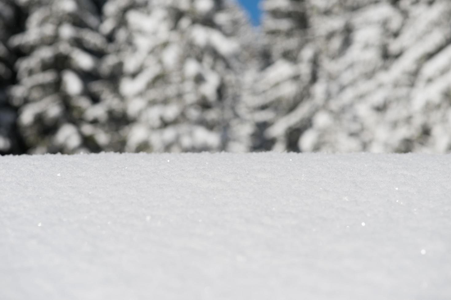 vinter snö bakgrund foto