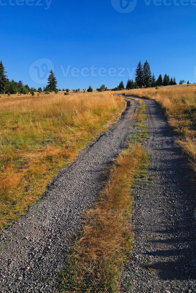 landskap väg se foto