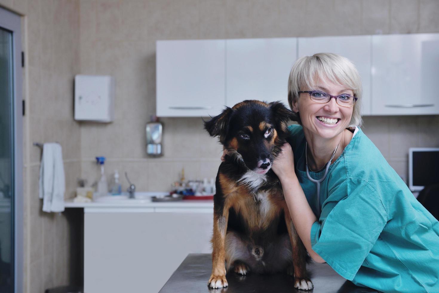 veterinär och assistent i en liten djurklinik foto