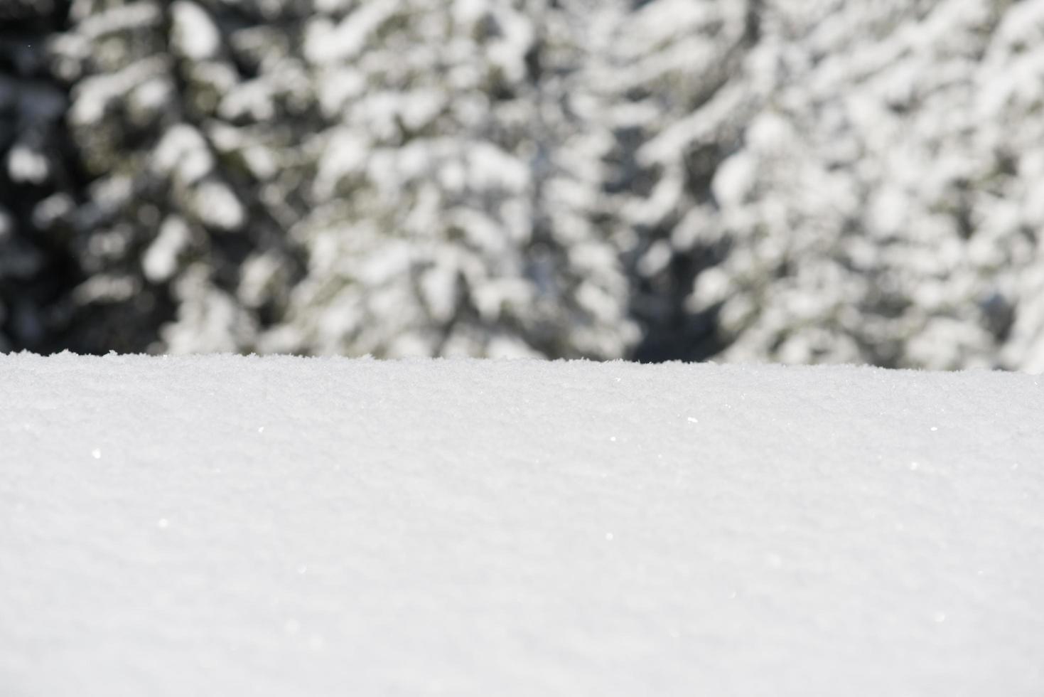 vinter snö bakgrund foto