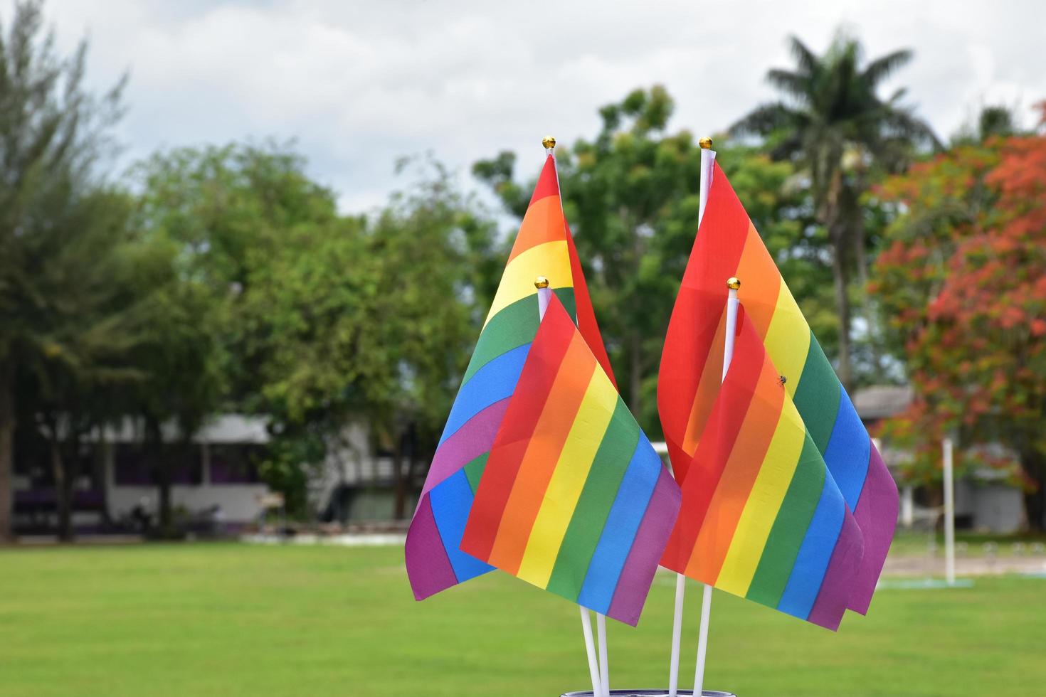 regnbåge flaggor, symbol av HBTQ kön mångfald, som visar i främre av gräs domstol av skola lekplats, suddig byggnad bakgrund, begrepp för HBTQ fester i stolthet månad, juni, över de värld. foto