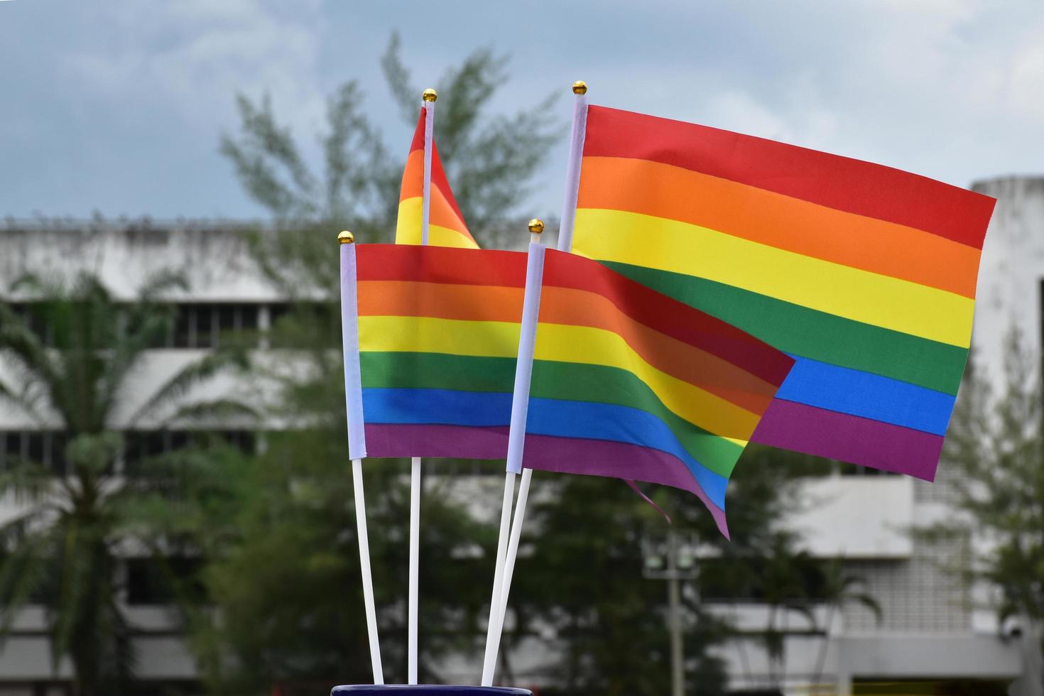 regnbåge flaggor, symbol av HBTQ kön mångfald, som visar i främre av gräs domstol av skola lekplats, suddig byggnad bakgrund, begrepp för HBTQ fester i stolthet månad, juni, över de värld. foto