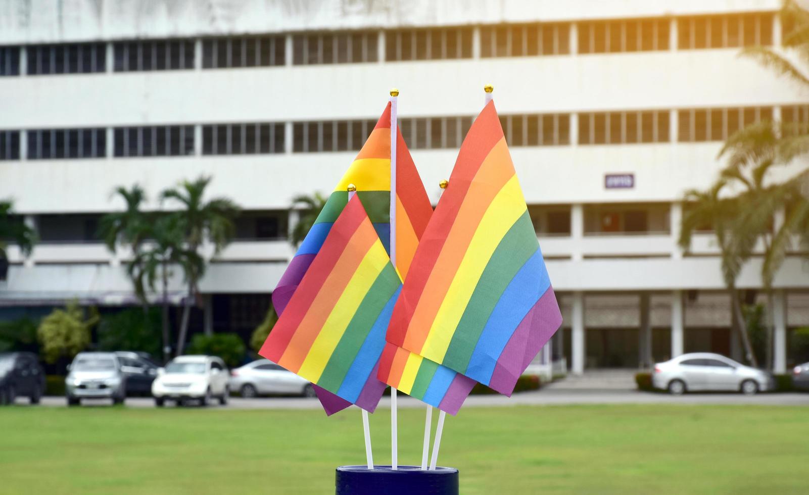 regnbåge flaggor, symbol av HBTQ kön mångfald, som visar i främre av gräs domstol av skola lekplats, suddig byggnad bakgrund, begrepp för HBTQ fester i stolthet månad, juni, över de värld. foto