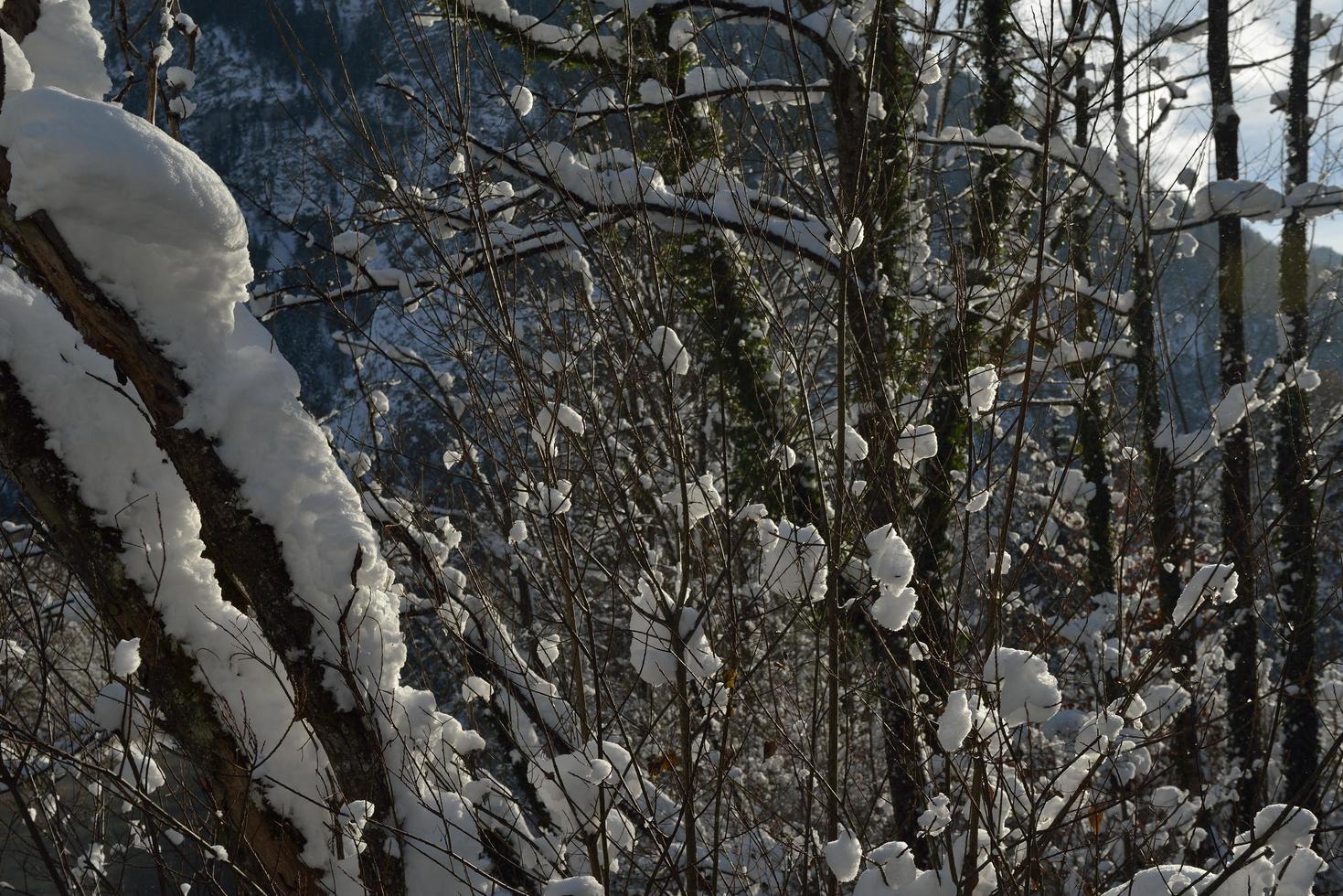 vinter bergslandskap foto