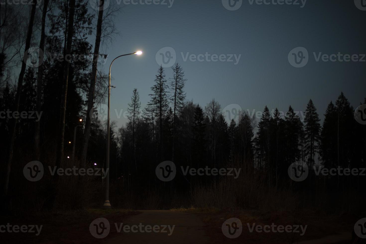 gata belysning. lampa på Pol. ljus i parkera. foto